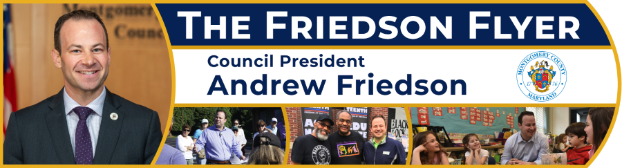 The Friedson Flyer - Council President Friedson’s newsletter banner image